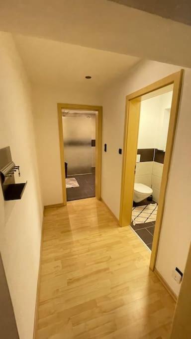 Shine Apartment 施瓦岑费尔德 外观 照片